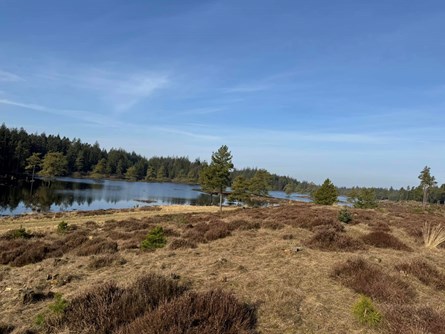 481978497 122116548578730429 7875879814325462515 N